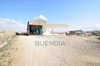 Finca rústica en Mazarrón Casco Urbano. Terreno preparado para el cultivo con nave corral muy amplia.