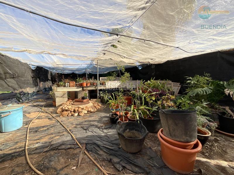 Foto 1b148394-a301-49de-b499-9c500661c849. Casa amb calefacció piscina a La Pinilla - Las Palas Fuente Álamo de Murcia