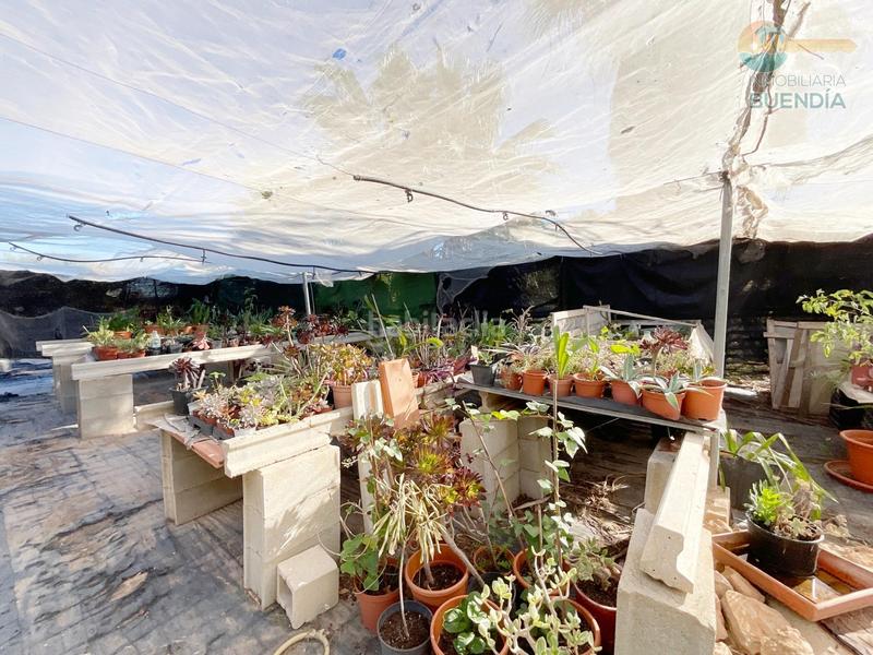 Foto 44a3c2f1-1ac7-4dbf-bfe9-f369b1f95bc5. Casa amb calefacció piscina a La Pinilla - Las Palas Fuente Álamo de Murcia