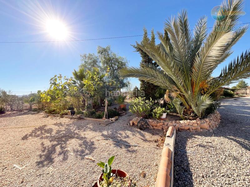 Foto 734463eb-cb15-41de-b38a-9dda6d30da2e. Casa amb calefacció piscina a La Pinilla - Las Palas Fuente Álamo de Murcia