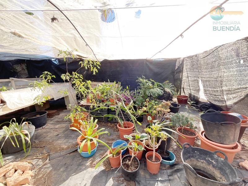 Foto d05a7929-48e3-4f55-b3f9-c9bc242e7b11. Casa amb calefacció piscina a La Pinilla - Las Palas Fuente Álamo de Murcia