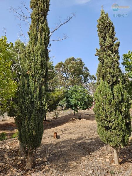 Foto 513d4ab5-c007-4b3c-912d-49ba5028af55. Maison avec chauffage parking dans La Pinilla - Las Palas Fuente Álamo de Murcia