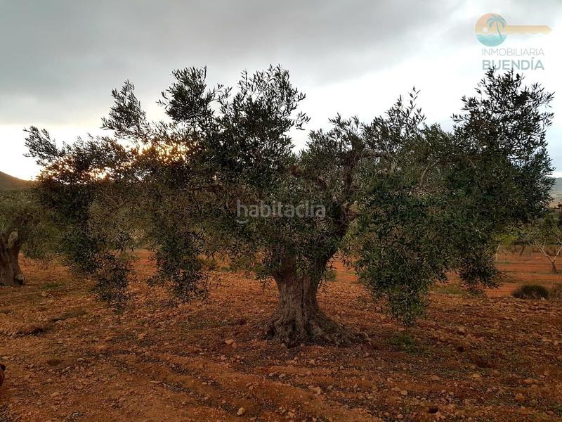 Foto 6472d410-576f-4260-8ca7-bb2ec5bbda72. Maison avec chauffage parking dans La Pinilla - Las Palas Fuente Álamo de Murcia