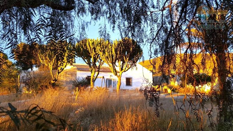 Foto 95a4e404-c792-48e5-9308-3d6c2b857209. Maison avec chauffage parking dans La Pinilla - Las Palas Fuente Álamo de Murcia