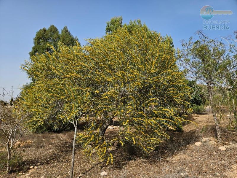 Foto 9ddfa965-23d2-4042-abbe-0bdaaa44d78f. Maison avec chauffage parking dans La Pinilla - Las Palas Fuente Álamo de Murcia