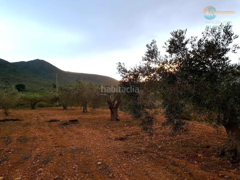 Foto 9fbac71a-9c13-43b6-a674-a8317405aaed. Maison avec chauffage parking dans La Pinilla - Las Palas Fuente Álamo de Murcia