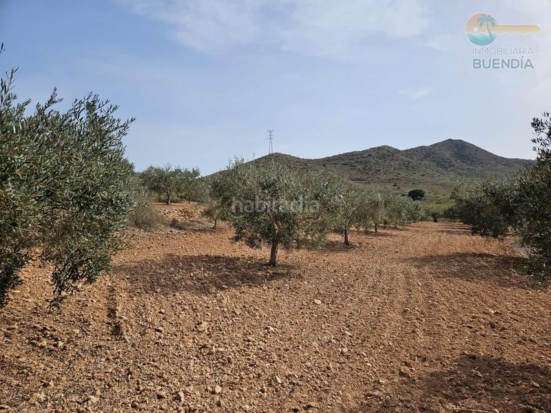 Foto ae53d8d9-ad85-4c3a-a75b-15fc8f3b937f. Maison avec chauffage parking dans La Pinilla - Las Palas Fuente Álamo de Murcia