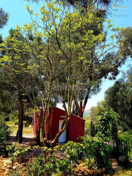 Foto d3af8bfc-2475-46bf-b43b-6977330f8832. Maison avec chauffage parking dans La Pinilla - Las Palas Fuente Álamo de Murcia