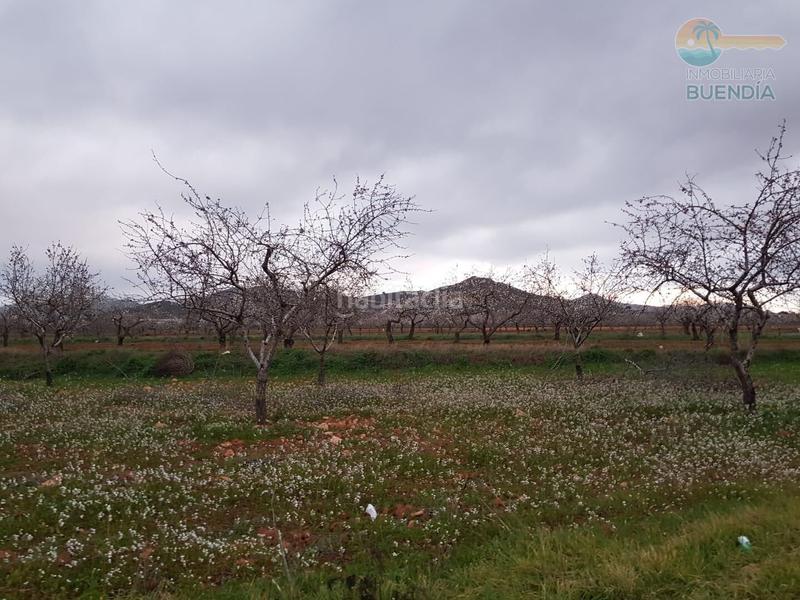 Foto dad0004a-a5f1-49c6-beda-5907cba666e5. Maison avec chauffage parking dans La Pinilla - Las Palas Fuente Álamo de Murcia