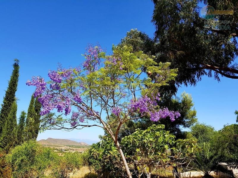Foto df15952e-8b03-4cce-97ca-401b99d20667. Maison avec chauffage parking dans La Pinilla - Las Palas Fuente Álamo de Murcia