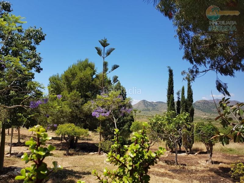 Foto e2f82310-93ce-4cc2-b0ad-d37f2cbde7c0. Maison avec chauffage parking dans La Pinilla - Las Palas Fuente Álamo de Murcia