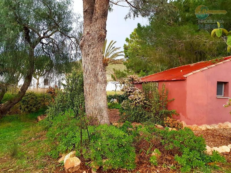 Foto f74136c4-e7e3-404d-ac2c-899751eed409. Maison avec chauffage parking dans La Pinilla - Las Palas Fuente Álamo de Murcia