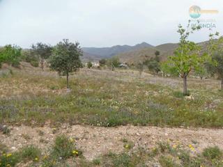 Propriété à Mazarrón Casco Urbano. Finca vallada con agua y facilidad para electricidad