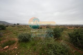 Propriété  Casas altas. Tres terrenos, uno con casa derruida, accesibles a luz y agua y