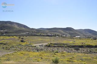 Landgut in Mazarrón Casco Urbano. Terreno en venta
