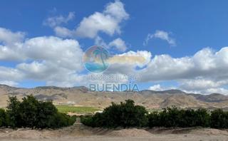 Finca rústica a Morata. Gran terreno rustico edificable de 20.000 m2  ref 1044