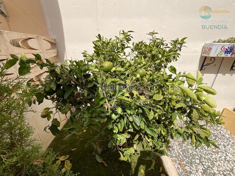 Foto 4d078437-f217-4143-b7e0-27edb41e73b1. Xalet amb aparcament a El Alamillo Mazarrón