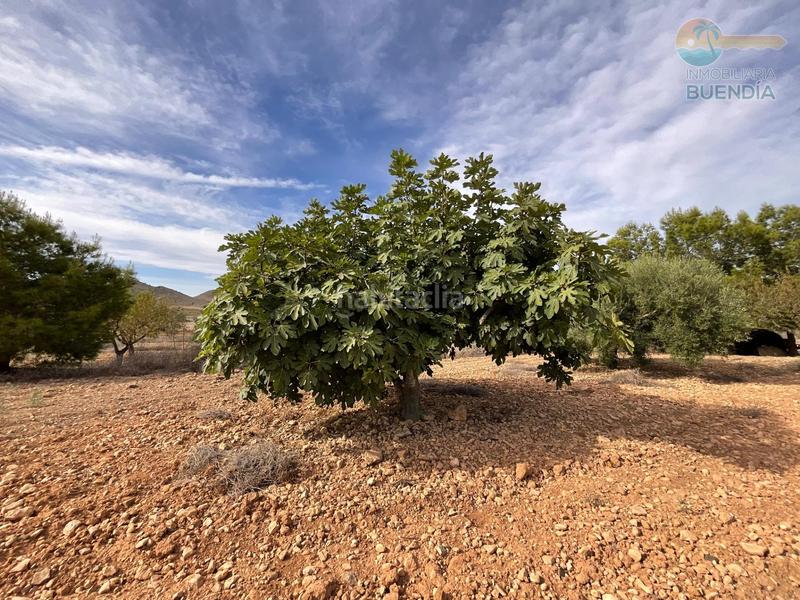 Foto 077ec1c0-8308-4813-9ec3-fa4bed23300e. Haus in La Pinilla - Las Palas Fuente Álamo de Murcia