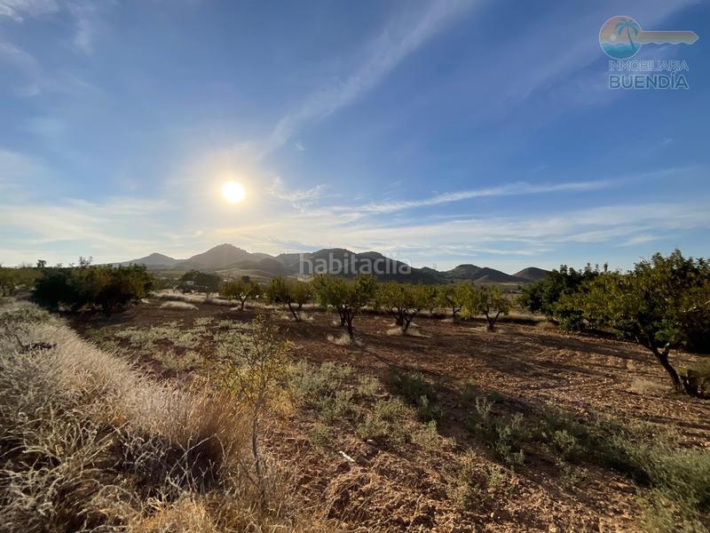 Foto 14a1b575-6f37-4a53-85d6-ec38846092f2. Haus in La Pinilla - Las Palas Fuente Álamo de Murcia