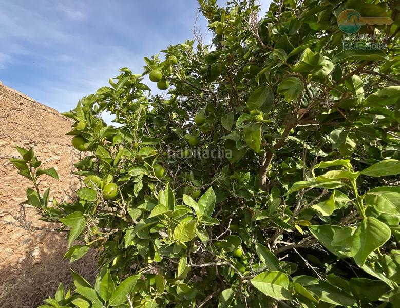 Foto 52cc71de-98b3-47ca-b162-35a3b1e01533. Haus in La Pinilla - Las Palas Fuente Álamo de Murcia