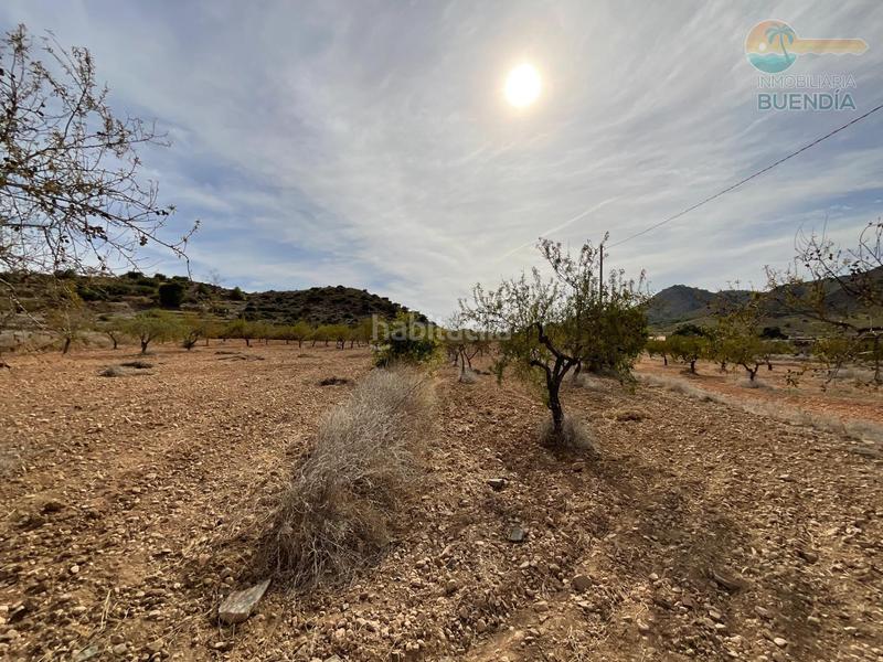 Foto 629300d3-bc5c-482e-85dc-898dad0c1236. Haus in La Pinilla - Las Palas Fuente Álamo de Murcia