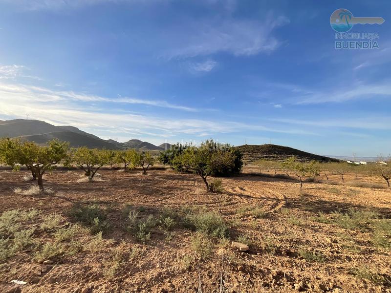 Foto 68f061b5-7bf4-45c6-b7bf-145d6604c6ea. Haus in La Pinilla - Las Palas Fuente Álamo de Murcia