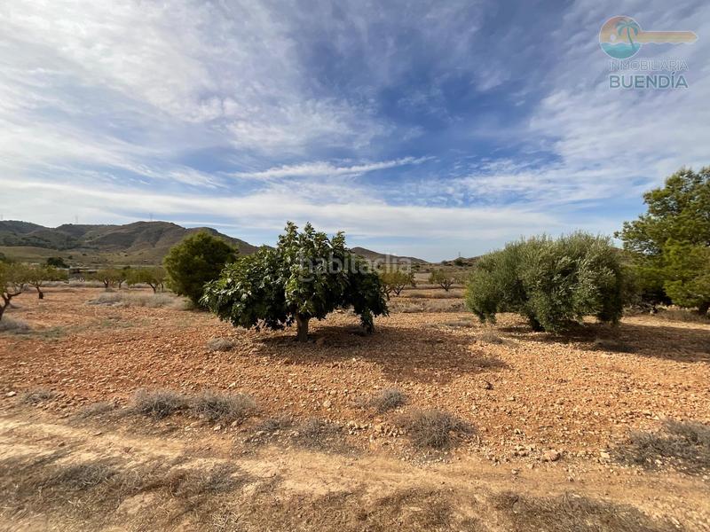 Foto 6cff9c92-141f-4925-990a-c475e12bf0d6. Haus in La Pinilla - Las Palas Fuente Álamo de Murcia