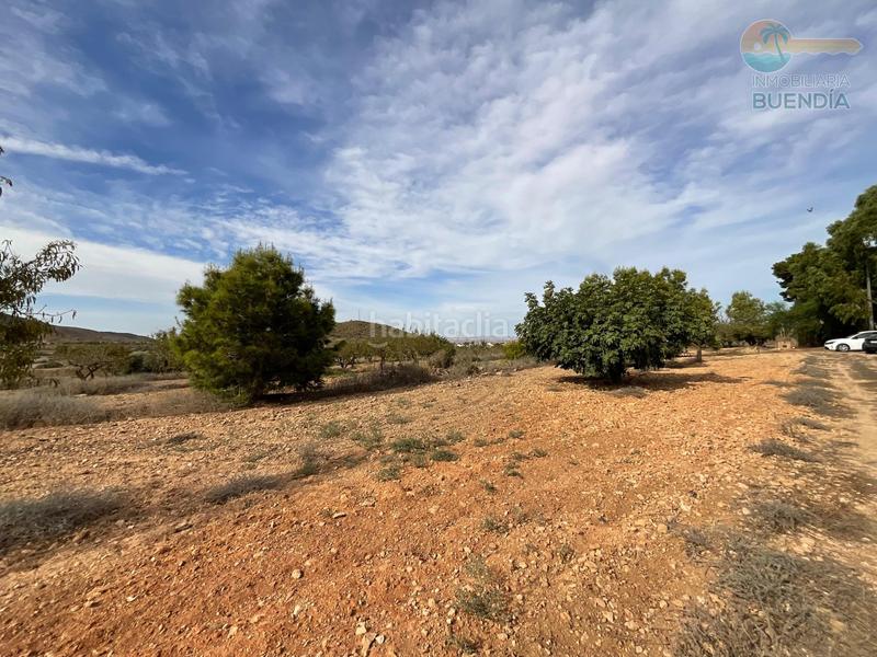 Foto 877ce4d9-9a8a-43db-96d6-75274bfc4808. Haus in La Pinilla - Las Palas Fuente Álamo de Murcia