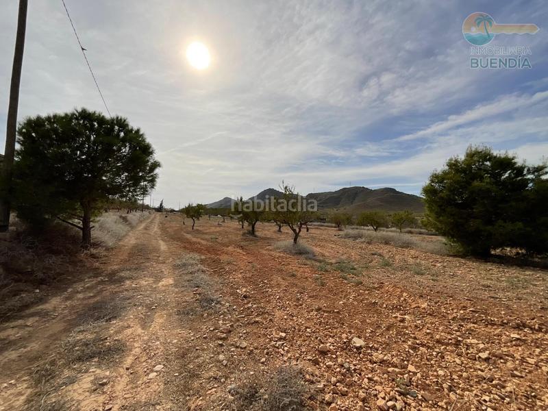 Foto c750af27-c5ac-46b1-8ebd-a074fa3a8487. Haus in La Pinilla - Las Palas Fuente Álamo de Murcia