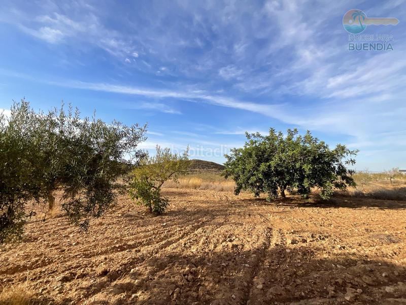 Foto c88e1ee9-ac6c-4265-8991-bbcc58ab8922. Haus in La Pinilla - Las Palas Fuente Álamo de Murcia