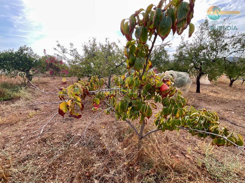 Foto 4f7e7733-f878-4fac-afaa-c4427af02d6e. Haus mit parking in Morata Lorca