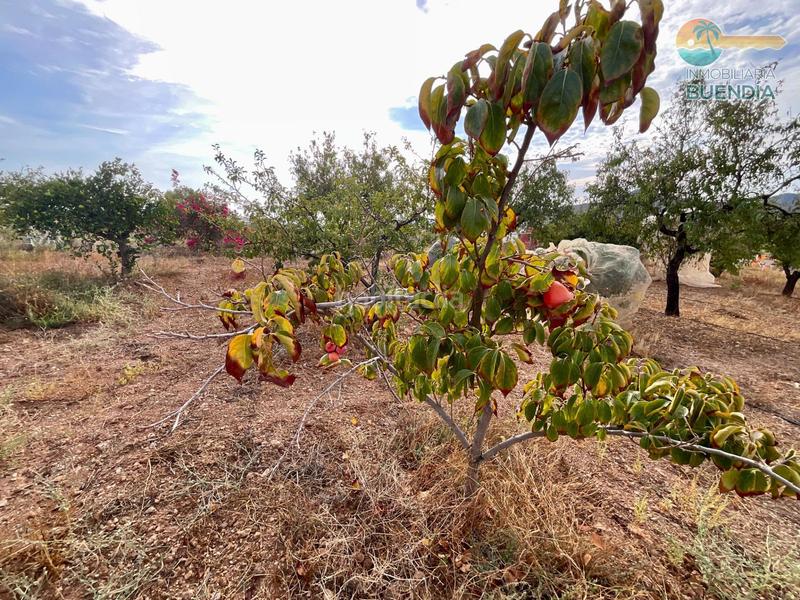 Foto 5b00c44b-b077-4cff-99da-91122072a63c. Haus mit parking in Morata Lorca