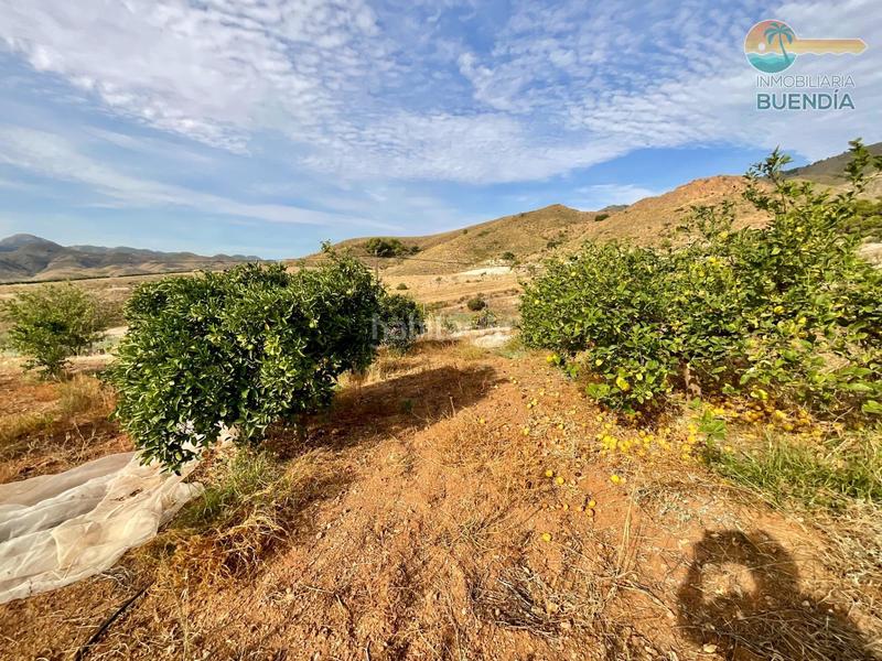 Foto 89195736-ca5d-45bd-9f37-dd0d59fba72a. Haus mit parking in Morata Lorca