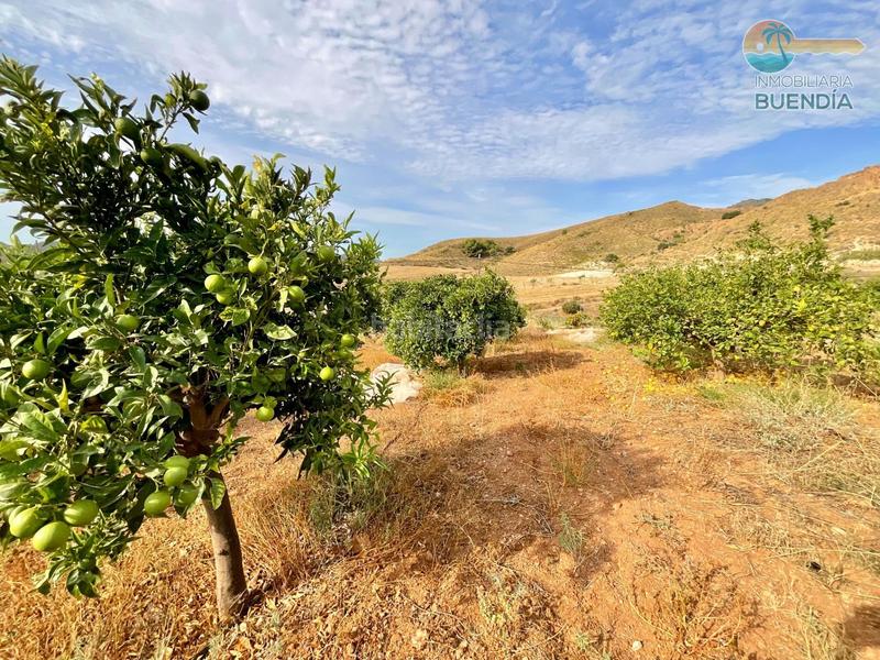 Foto 9afe05e9-d843-466f-978c-8e5278e54ce2. Haus mit parking in Morata Lorca