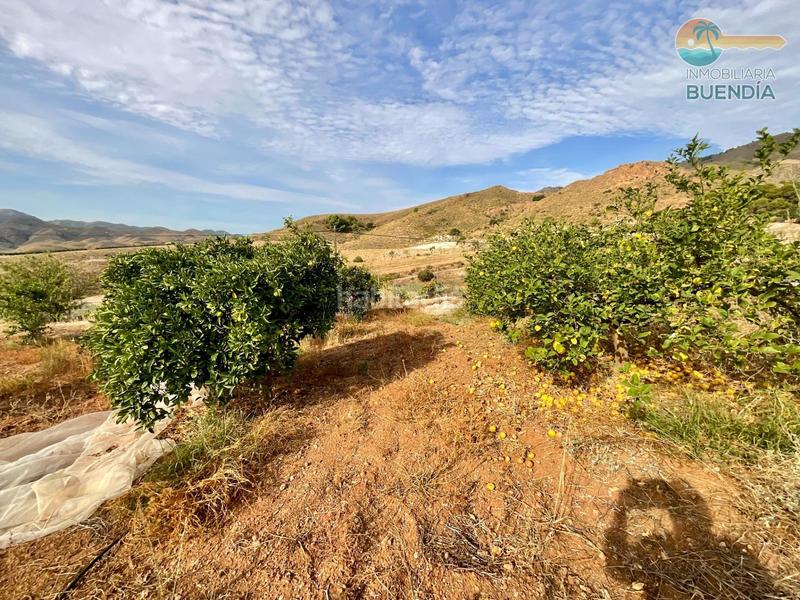 Foto fb569abd-3a53-439c-877c-92125a96906d. Haus mit parking in Morata Lorca