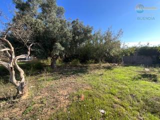 Casa a Albujón. Espectacular casa de campo con terreno en la magdalena!