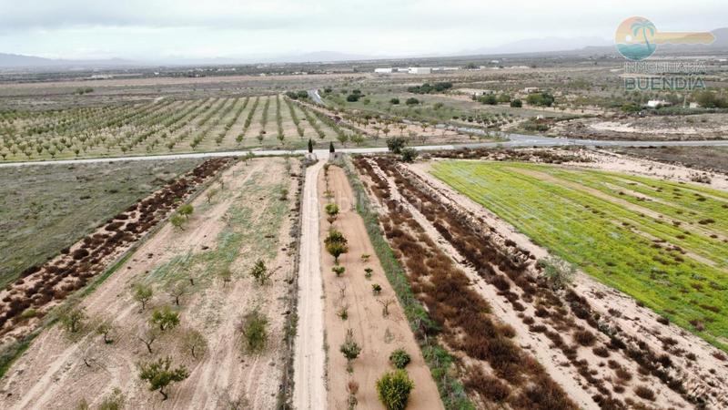 Foto 49cc7cc6-45eb-4803-91a0-74069297a42b. Casa con parcheggio in Los Almagros - Los Paganes - El Escobar Fuente Álamo de Murcia