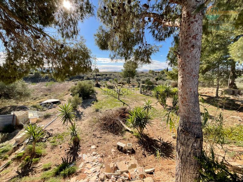 Foto 3dbbdfdf-dbdd-4c47-8ec1-eb48d5c1c59e. Haus mit parking pool in Condado de Alhama Alhama de Murcia