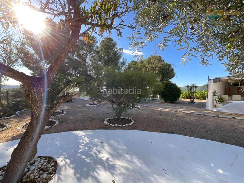 Foto 6b747294-c663-4d4f-8caa-63bc63d822e2. Haus mit parking pool in Condado de Alhama Alhama de Murcia