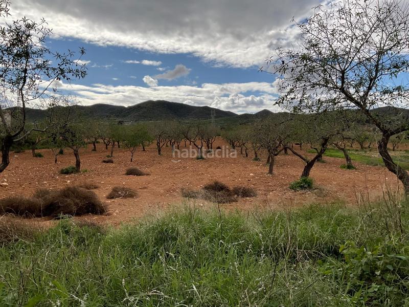 Foto bfbbc29f-91e8-49fc-9568-3fb914d546f4. Casa con parcheggio in La Pinilla - Las Palas Fuente Álamo de Murcia