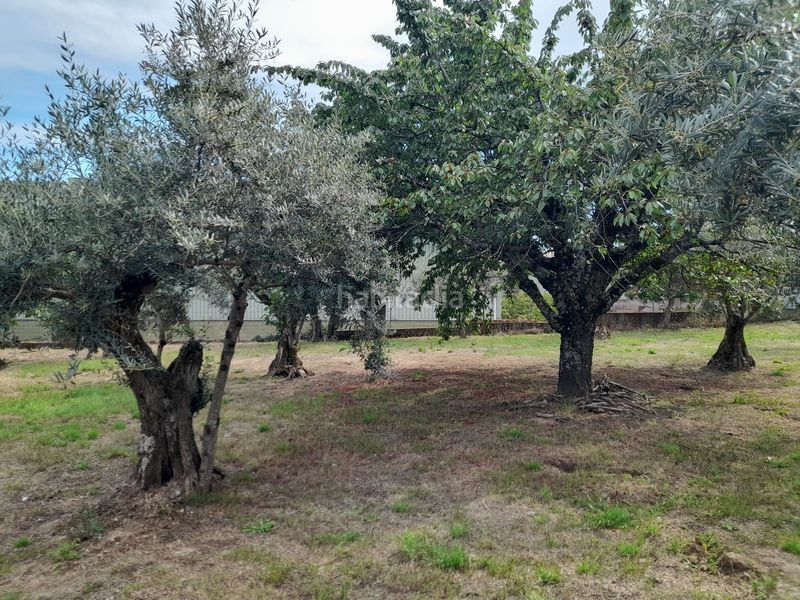 Foto 9010f347-ae01-4d93-be31-6946e7d65e0f. Chalet in Jarandilla de la Vera