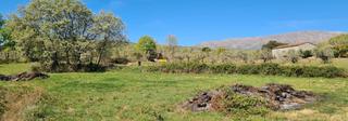 Finca rústica a Jarandilla de la Vera. Inmoex vende bonita finca cerca de jarandilla de la vera