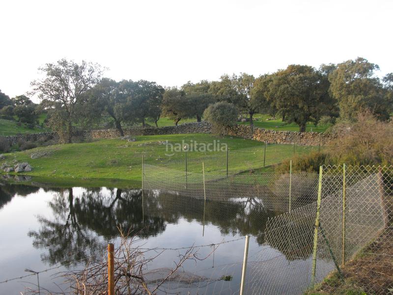 Foto e9c19b4b-0c6a-4f99-8bc8-65c81ac84264. Finca rústica inmoex vende preciosa finca en la vera en Jarandilla de la Vera