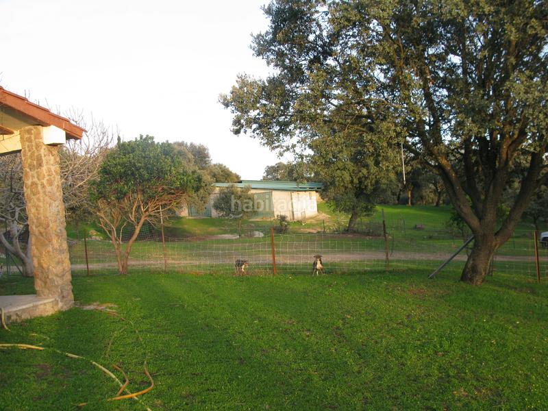 Foto fdb55d34-056b-46b6-85bf-da0600bb076e. Finca rústica inmoex vende preciosa finca en la vera en Jarandilla de la Vera