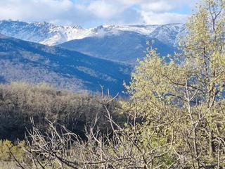 Finca rústica a Navalmoral de la Mata. Inmoex vende finca en la  vera