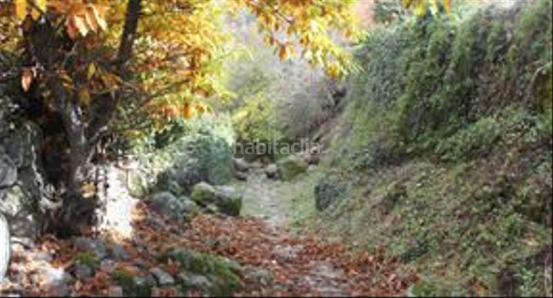 Foto a986dc87-f6b4-439a-8b06-3d42057ddd1d. Finca rústica a Garganta la Olla