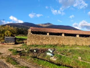 Finca rústica a Jarandilla de la Vera. Inmoex vende finca en jarandilla de la vera
