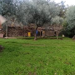 Finca rústica a Losar de la Vera. Inmoex vende finca en losar de la vera