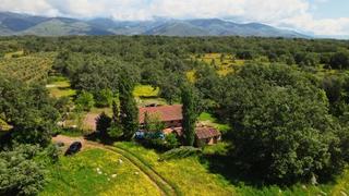 Rural plot in Calle huerta 19
