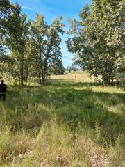 Rural plot in Robledillo de la Vera